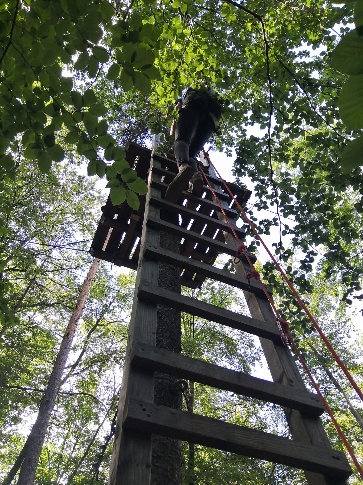 Ambulante Dienst Erlangen Fereinfreizeit 2020 Kletterwald vsj e.V.